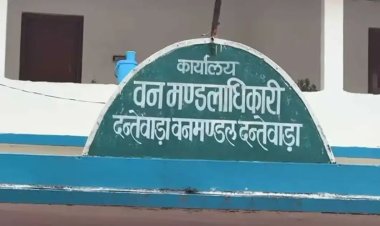 इंस्टाग्राम रील ने खोली शिकारी की पोल : दंतेवाड़ा में 9 दुर्लभ विशाल गिलहरियों के शिकार का खुलासा, आरोपी गिरफ्तार