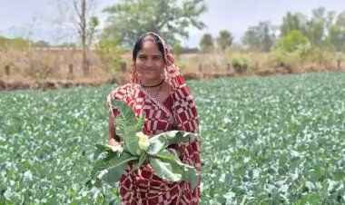 साय सरकार की पहल से सशक्त हुई महिलाएं: हमेश्वरी राठौर बनीं "लखपति दीदी"